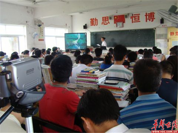 杨老师4.jpg 杨老师4.jpg
